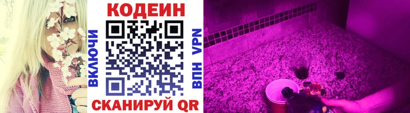 Кодеиновый сироп Lean Purple Drank  MEGA вход  Керчь  даркнет сайт 