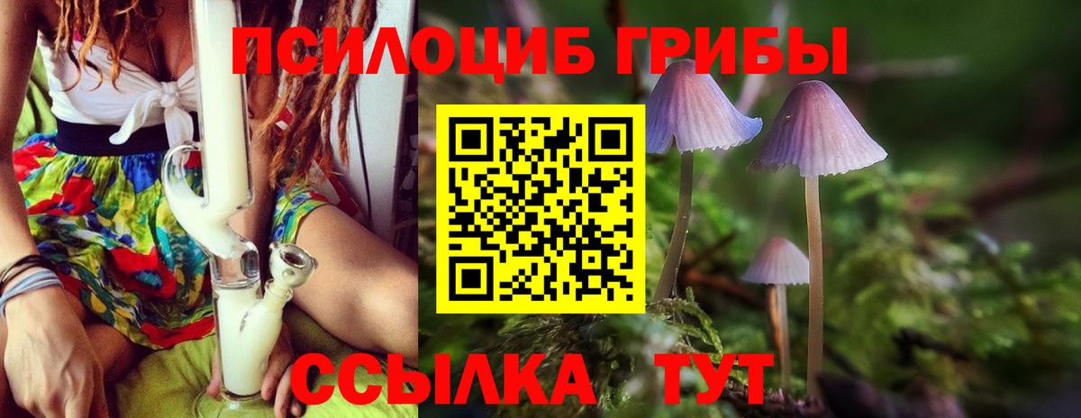 как найти наркотики  Псилоцибиновые грибы мицелий  Галлюциногенные грибы Cubensis  Вход с VPN  Керчь 